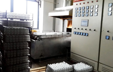 Mesh Belt 380V Electric Industrial Kiln For Annealing Glass