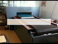 Bevel Gear Roller Transmission Glassware for Nitrogen Gas Atmosphere Applications