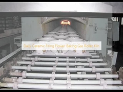 Daily Ceramic Firing Flower Baking Gas Roller Kiln