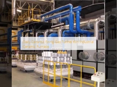 Daily Ceramic Firing Gas Tunnel Kiln Industrial Ceramic Furnace